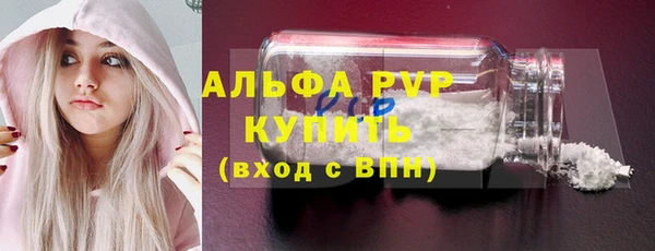 СК Козловка